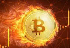 投资者表示今年比特币可能会创下历史新高