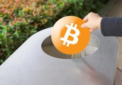 南非支付网关因费用和网络拥塞而导致BTC下降