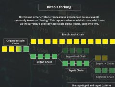 什么是比特币分叉