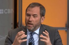Ripple CEO：瑞波币不属证券，更不能与Ripple 公司混为一谈
