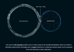 什么是侧链（Sidechain）