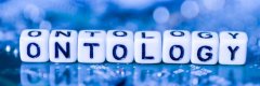 本体（Ontology）分布式信息管理ONT ID的机制和优点