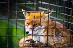 以太坊钱包被控在手机偷挖矿？MetaMask安卓客户端遭Google下架