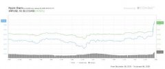 Ripple的CEO称：我们不可能像比特币鲸鱼那样控制XRP的价格