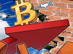 BitPay高管：2020年“黑天鹅”将助力比特币突破2万美元