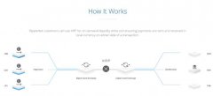 什么是Ripple，什么是XRP？初学者指南