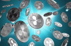 基于Ripple的XRParrot交易所将停止运营