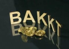 Bakkt透露面向消费者的产品细节，不专为加密货币支付