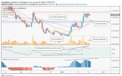 ChainLink（LINK）价格可能在2020年发生巨大变化