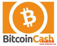 比特币现金: 兄弟阋墙的分叉剧