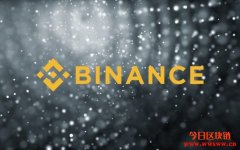 美国币安联同Stellar CEO在国际妇女节的拆穿加密界的性别谜团