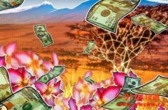 币安在南非启动法币支持，捐赠100万