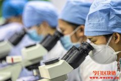 闲置算力也能助开发新冠疗法！美国矿工率先贡献6千