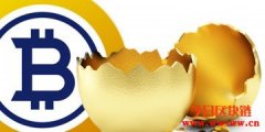 比特币黄金再爆51%攻击?开发团队:成功防堵黑客入侵