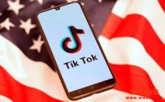 微软证实TikTok收购传闻，还想买加拿