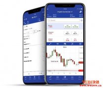 交易量最高的加密货币有哪些？