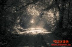 加密网络并不是公司