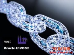 NEST：一个实现COST概念的预言机