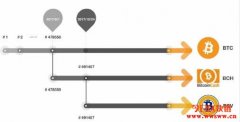 BTC、BCH、BSV差别比较，5分钟了解为什么有这么多种比