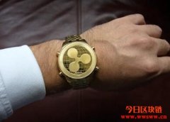 瑞波（Ripple）2023年的预期增长