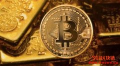 比特币是数字黄金还是现代版郁金香泡沫？