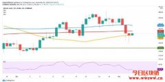 比特币现金(BCH)站上了关键支撑位并朝着275美元的