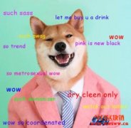 认识狗狗币Dogecoin