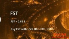 什么是1IRSTCOIN？