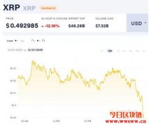 美SEC认定瑞波币是证券！Ripple恐挨告CEO喊冤