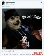 Snoop Dogg也喊盘，狗狗币告诉你什么是社群共识的影响