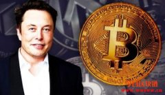 Elon Musk的比特币投资策略