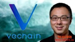 详细解读唯链Vechain及介绍原生代币
