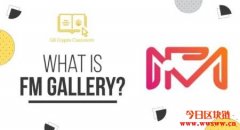 FM Gallery(FMG):艺术碎片与盲盒创新元素的 NFT 艺术品发行平台