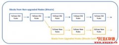 什么是比特币现金（BCH)？