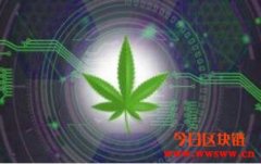 为什么说数字货币和大麻行业是天作之合？