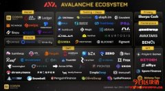 什么是雪崩协议Avalanche（AVAX）？