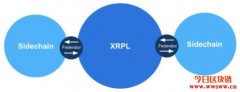 Ripple技术长公布联邦侧链愿景，为生态系统引进智能