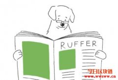 Ruffer投资总监透露：狗狗币热潮是公司出售比特币的投机信号