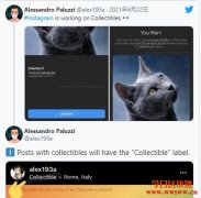 Instagram传正开发NFT功能！Collectible介面曝光