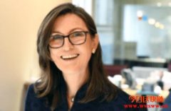 木头姐被批“泡沫”，科技女股神赚的到底是什么钱？