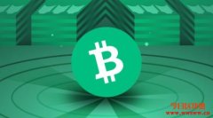什么是比特币现金（BCH）？