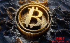 木头姐最爱的三只加密货币股票都有哪些？