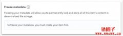 什么是冻结元数据 (Freezing Metadata)？