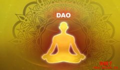 分布式自治组织（DAO）简介
