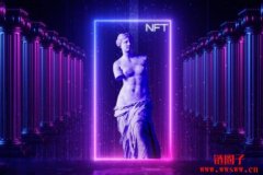 同质化的非同质代币？基于区块链核实的资产所有权碎片化