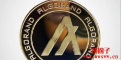 小币走势活跃！ALGO 能否复制Solana飙涨路线？