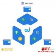 什么是Swim Protocol (游泳协议)？