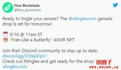 听进去的NFT！ASMR平台xtingles首发《F