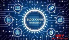 怎么内行地分析一条公链的价值