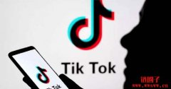 TikTok 进军NFT 新战场！携创作者在以太坊发行NFT